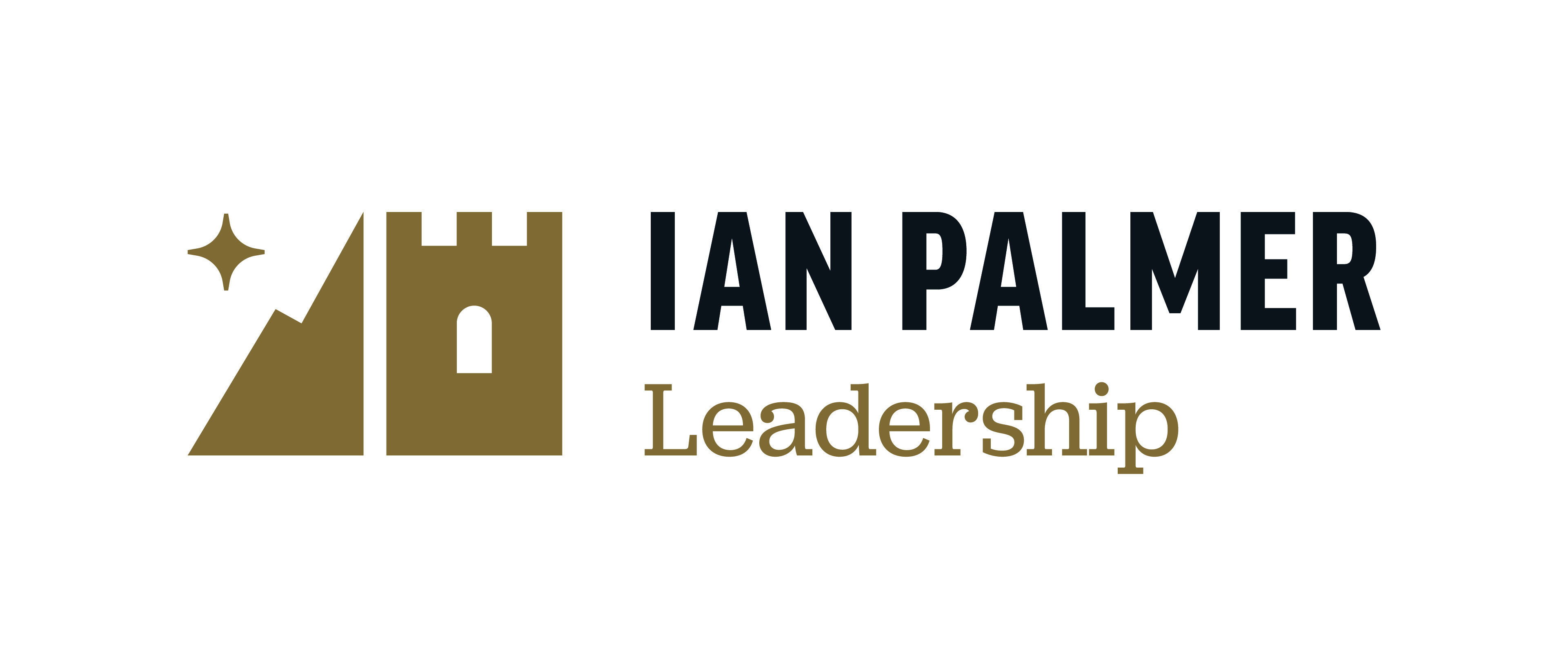 Ian Palmer Leadership
